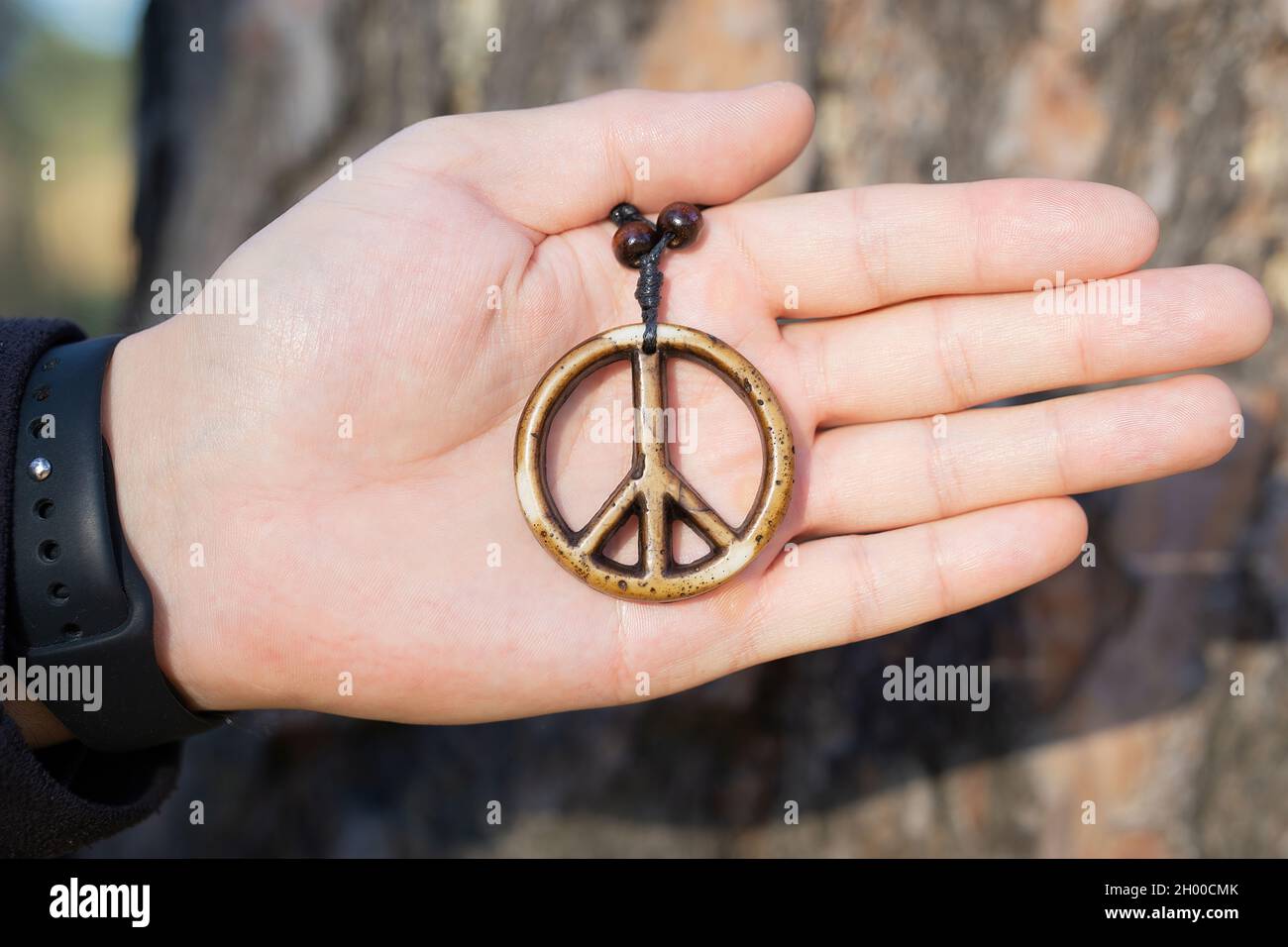 Peace Sign Necklace – Amanda Rose