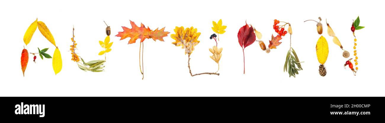 Word AUTUMN made of bright autumn leaves and colorful berries isolated on white Stock Photo