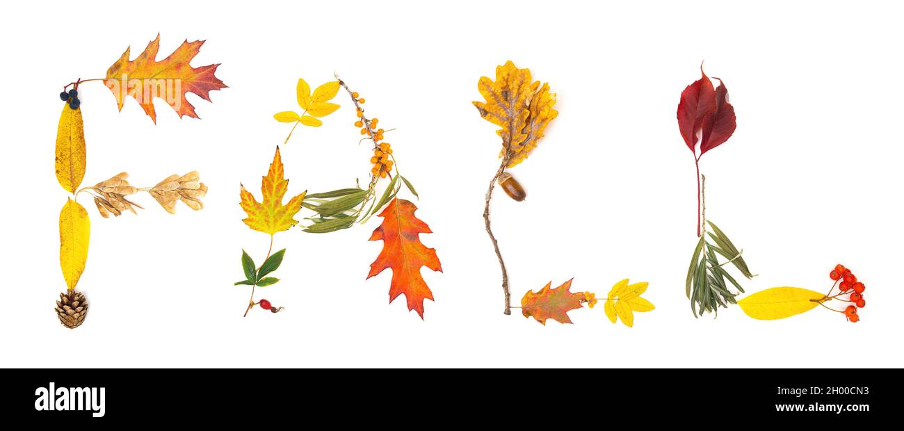 Word FALL made of bright autumn leaves and colorful berries isolated on white Stock Photo
