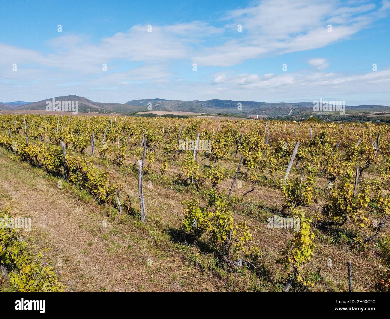 Hungary, Bogacs Aerial view of the vineyard located on the south-eastern foot of the Bukk Mountains is seen near Bogacs, Hungary on 25 September 2021   (Photo by Vadim Pacajev / Sipa USA) Stock Photo