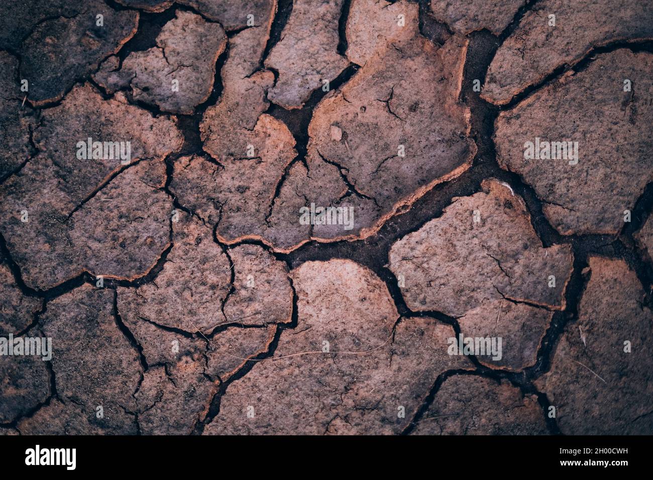 Land Crack Land Broken desert Land Stock Photo - Alamy