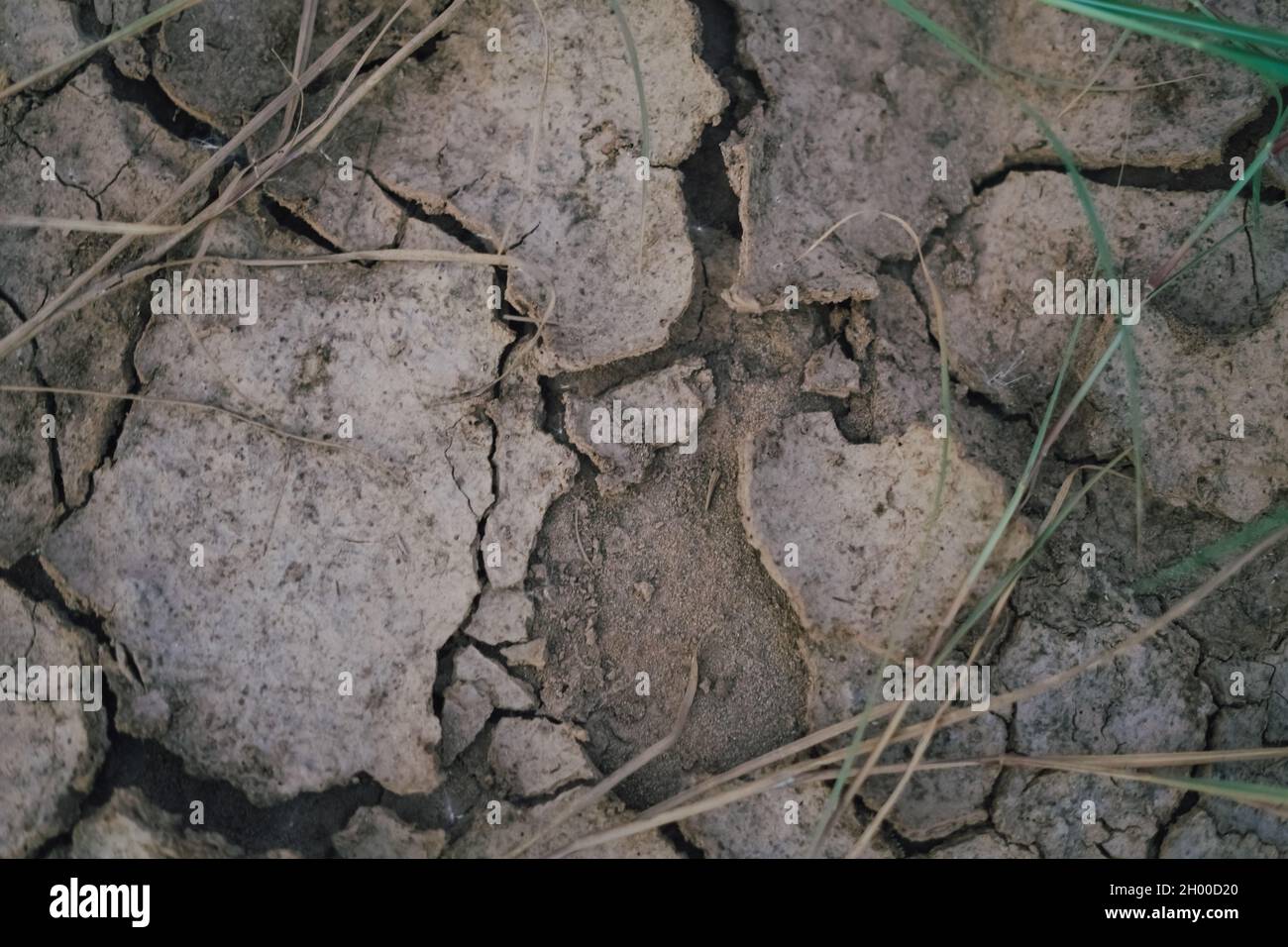Land Crack Land Broken desert Land Stock Photo - Alamy