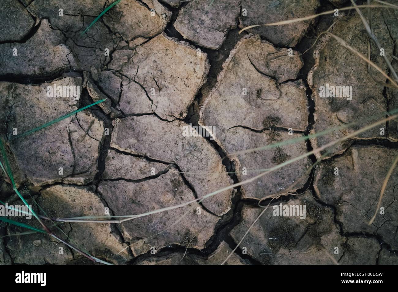 Land Crack Land Broken desert Land Stock Photo - Alamy