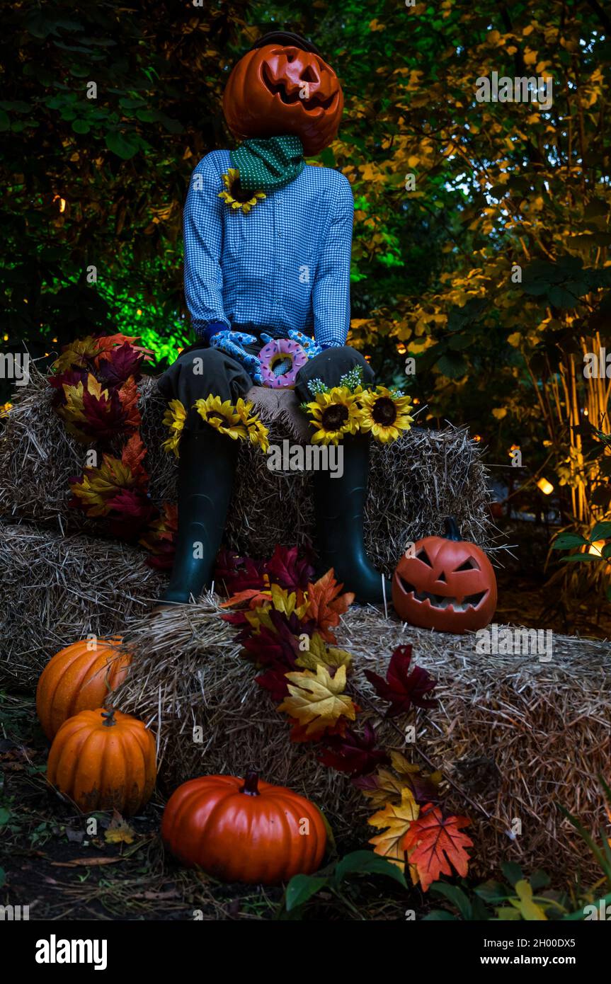 Pumpkin scarecrows in Halloween display at night time, Scotland, UK Stock Photo