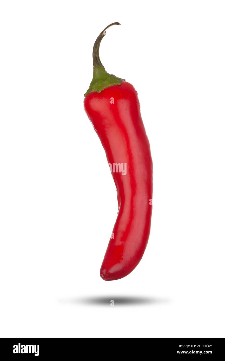 Red hot chilli pepper close up isolated on a white background Stock Photo