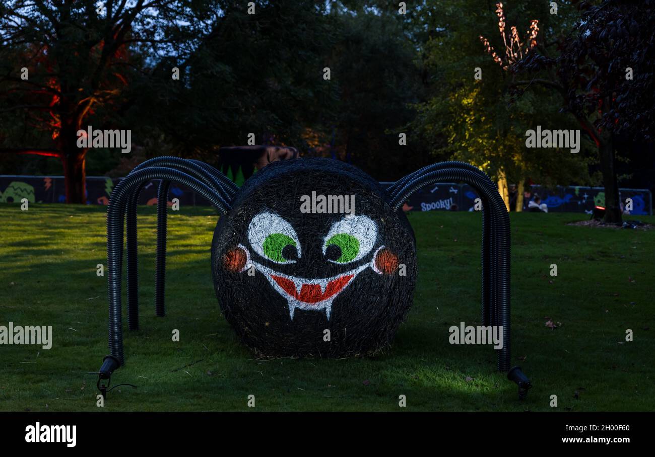 Giant spider with painted face at Edinburgh Zoo Halloween trail ...