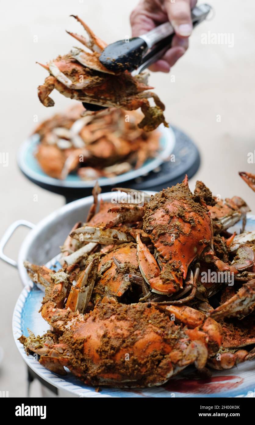 Steamed Maryland crabs in Old Bay spice Stock Photo