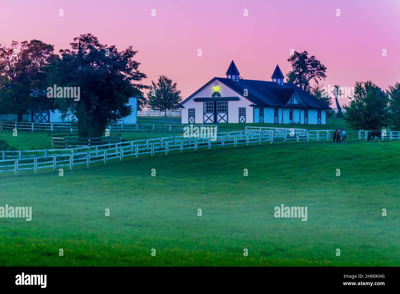 Morning - Kentucky Bluegrass Horse Farm - Lexington Stock Photo