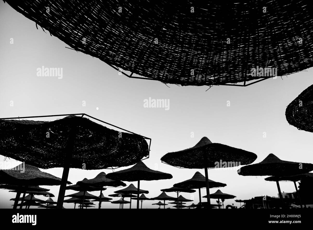 Black and white image of straw umbrellas against the sky. Travel concept. Stock Photo