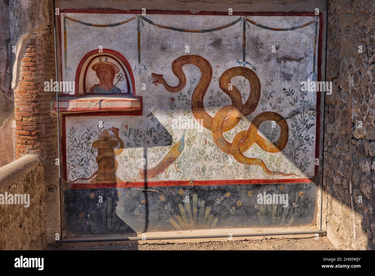 Fresco painting with snake, Mercury and peacock on a wall of Lararium in House of Cryptoporticus (Casa del Criptoportico) in ancient city of Pompeii, Stock Photo