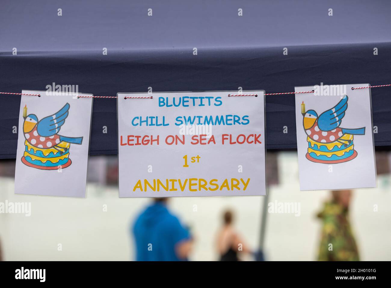10th Oct, 2021. Southend on Sea, UK. Bluetits of Leigh on Sea celebrate