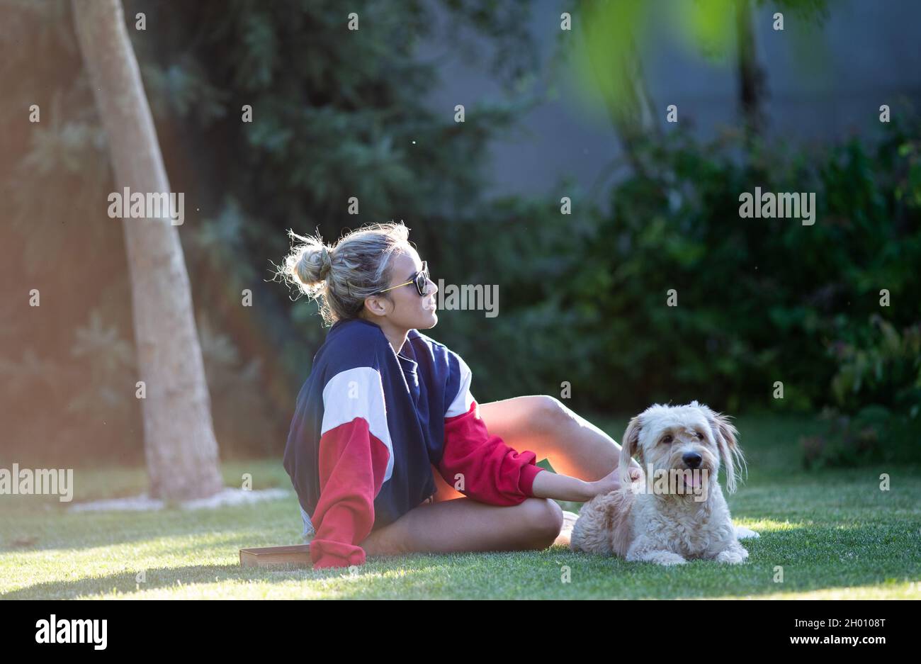 Pretty young girl sitting on grass in park and pet her cute dog Stock ...
