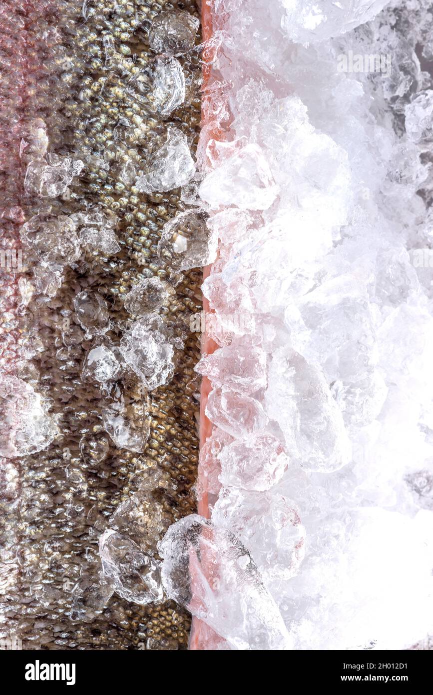 Fresh Salmon Fish in Skin Fillet on Ice Stock Photo - Alamy