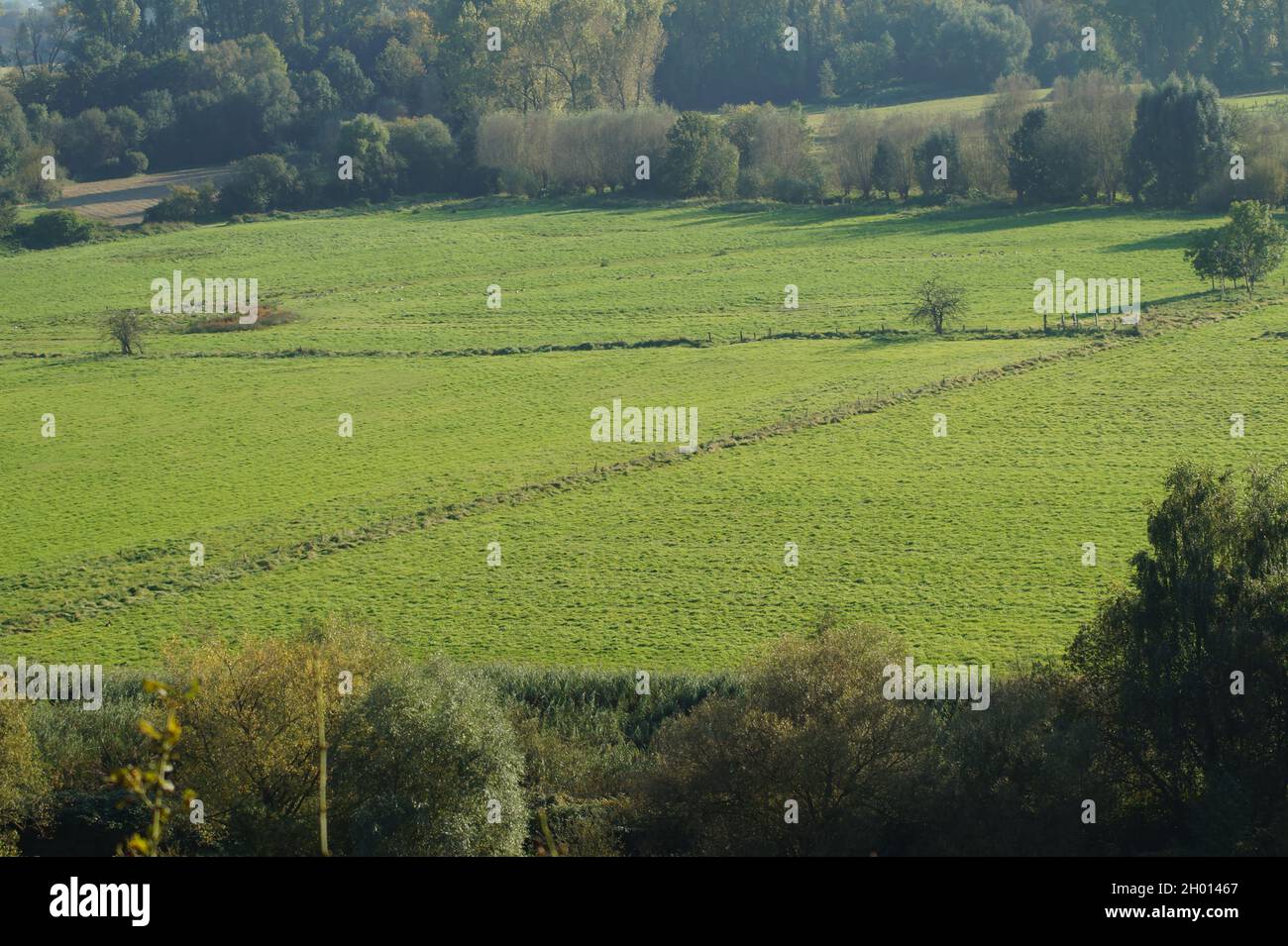 Blick auf die Ruhrauen in Mülheim an der Ruhr Stock Photo