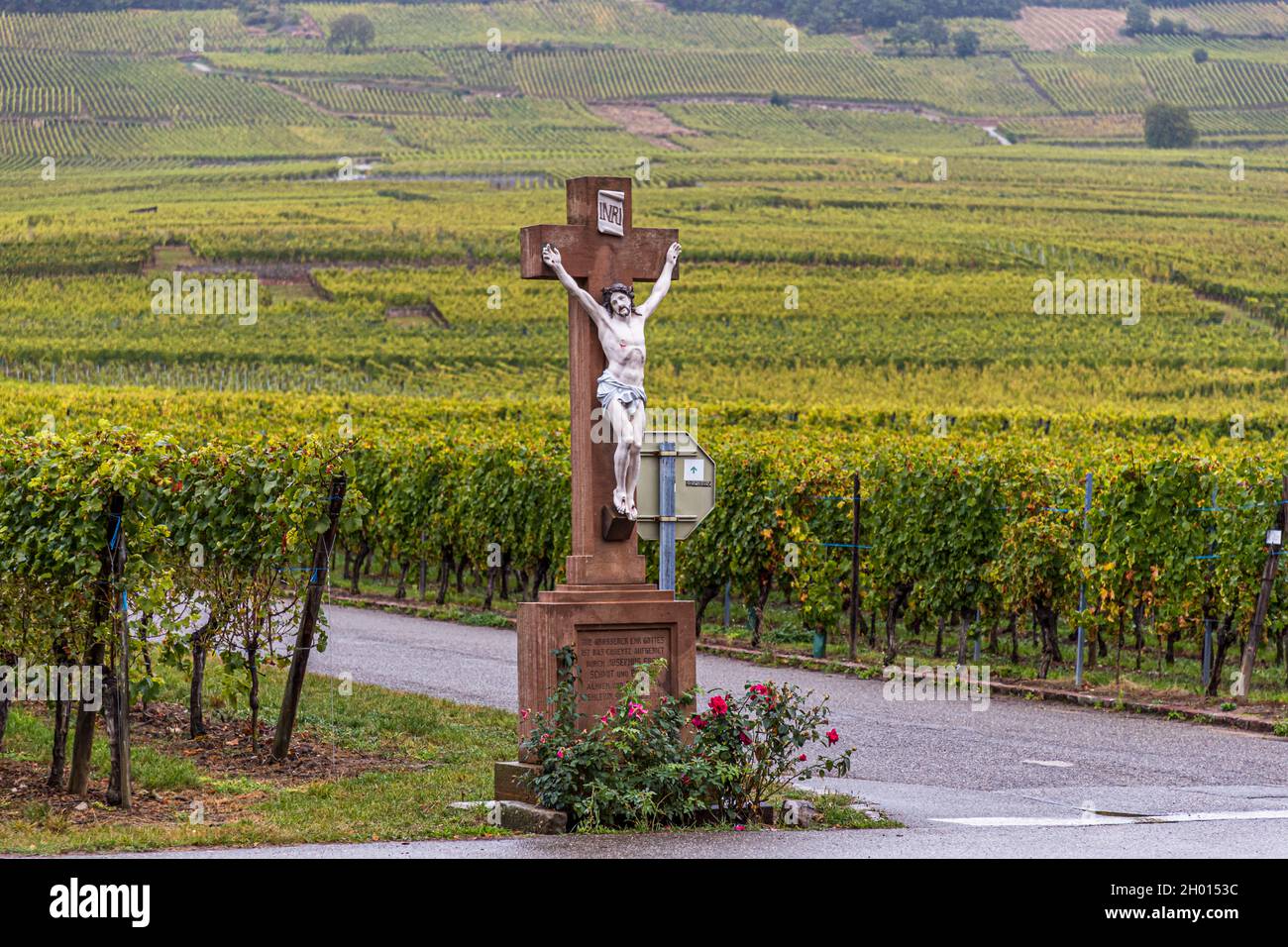 Crucifix in front of the vineyards of Kientzheim, Kaysersberg, France Stock Photo