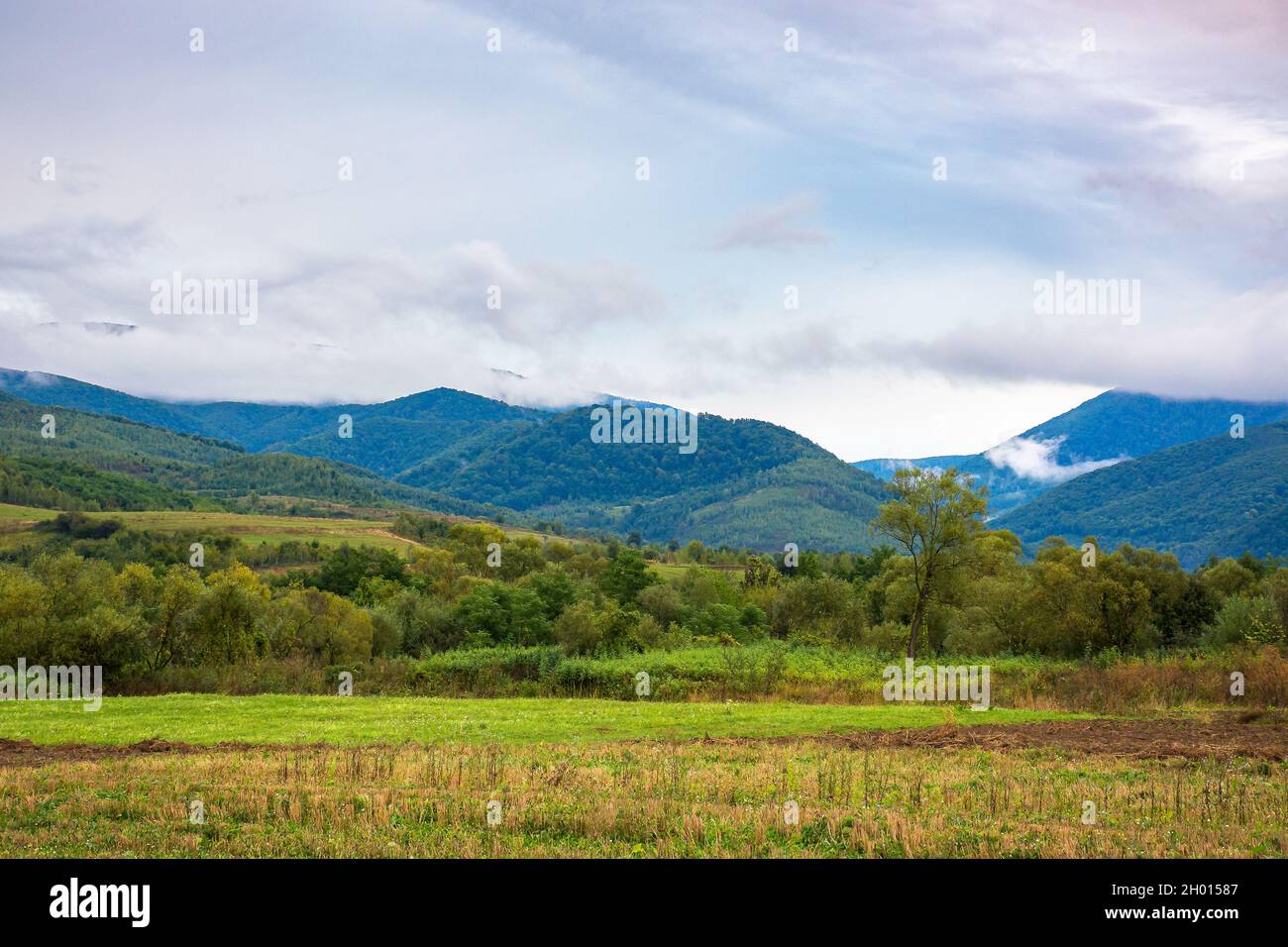 rural field in mountains at dawn. cloudy early autumn weather Stock Photo