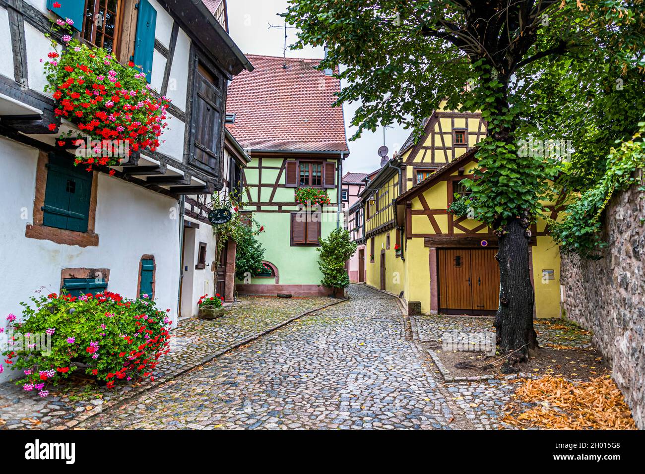 Street view with half-timbered houses in Kaysersberg, France Stock Photo