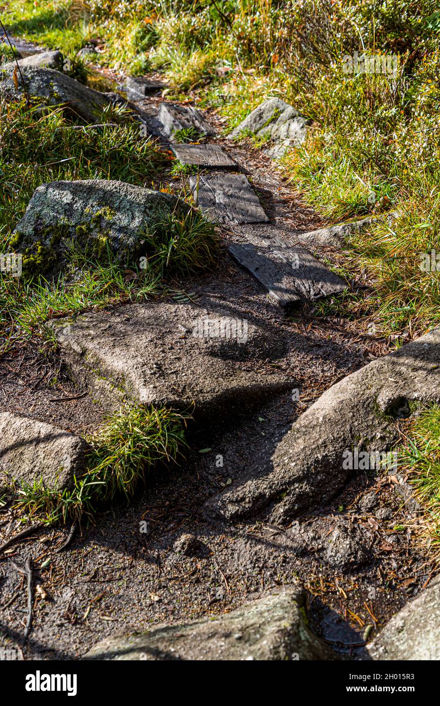 Hiking trail through the Vosges nearOrbey, France Stock Photo