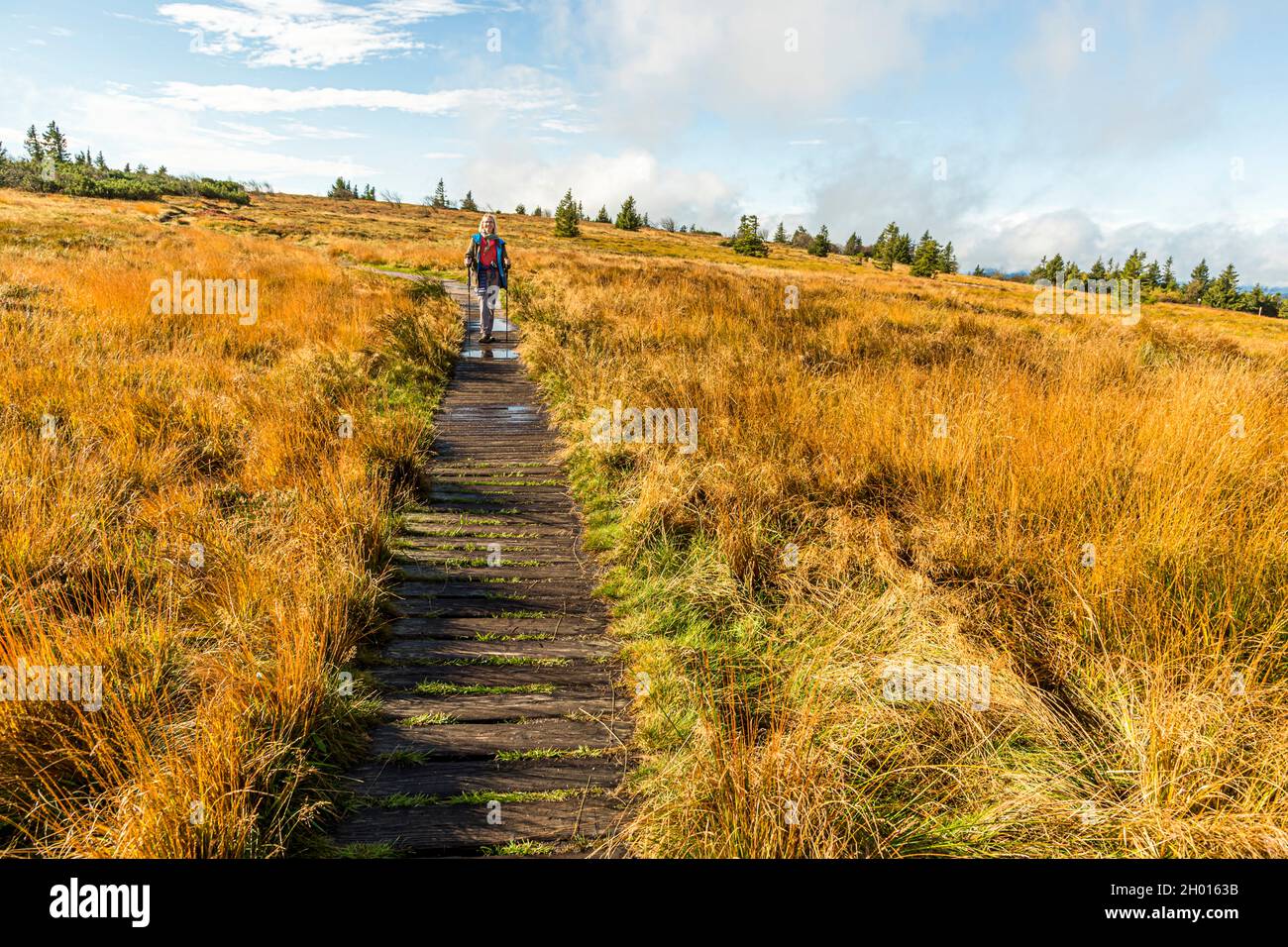 Hiking trail through the Vosges near Plainfaing, France Stock Photo