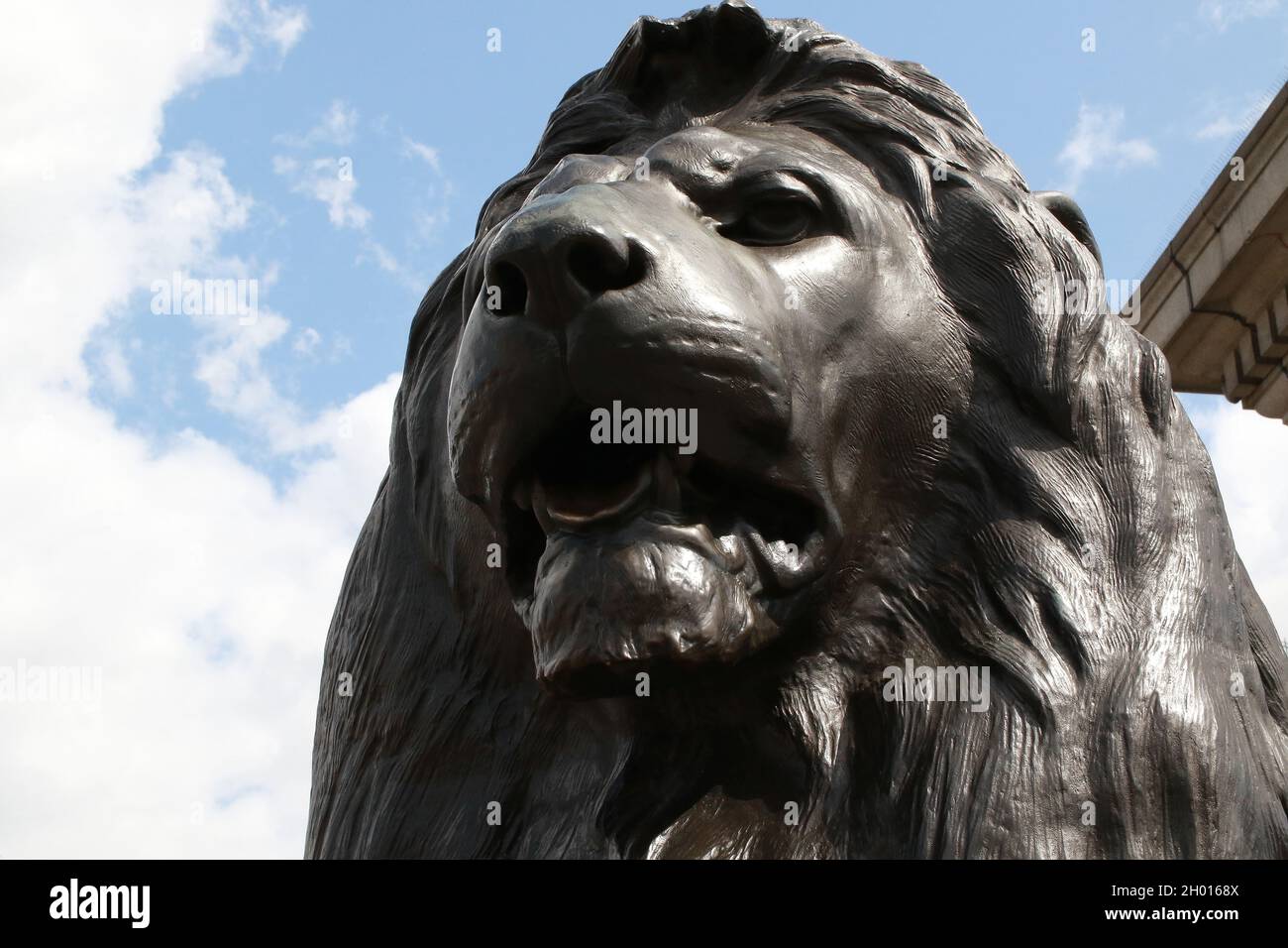 A low angle shot of a bronze lion statue in London Stock Photo Alamy