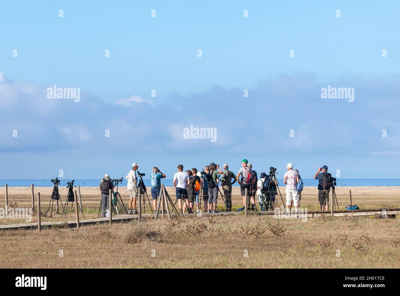 A group of birders at Laguna Los Lances, part of the Straits Zone of Special Conservation in the very south of Andalucia, Spain, near Tarifa. Stock Photo