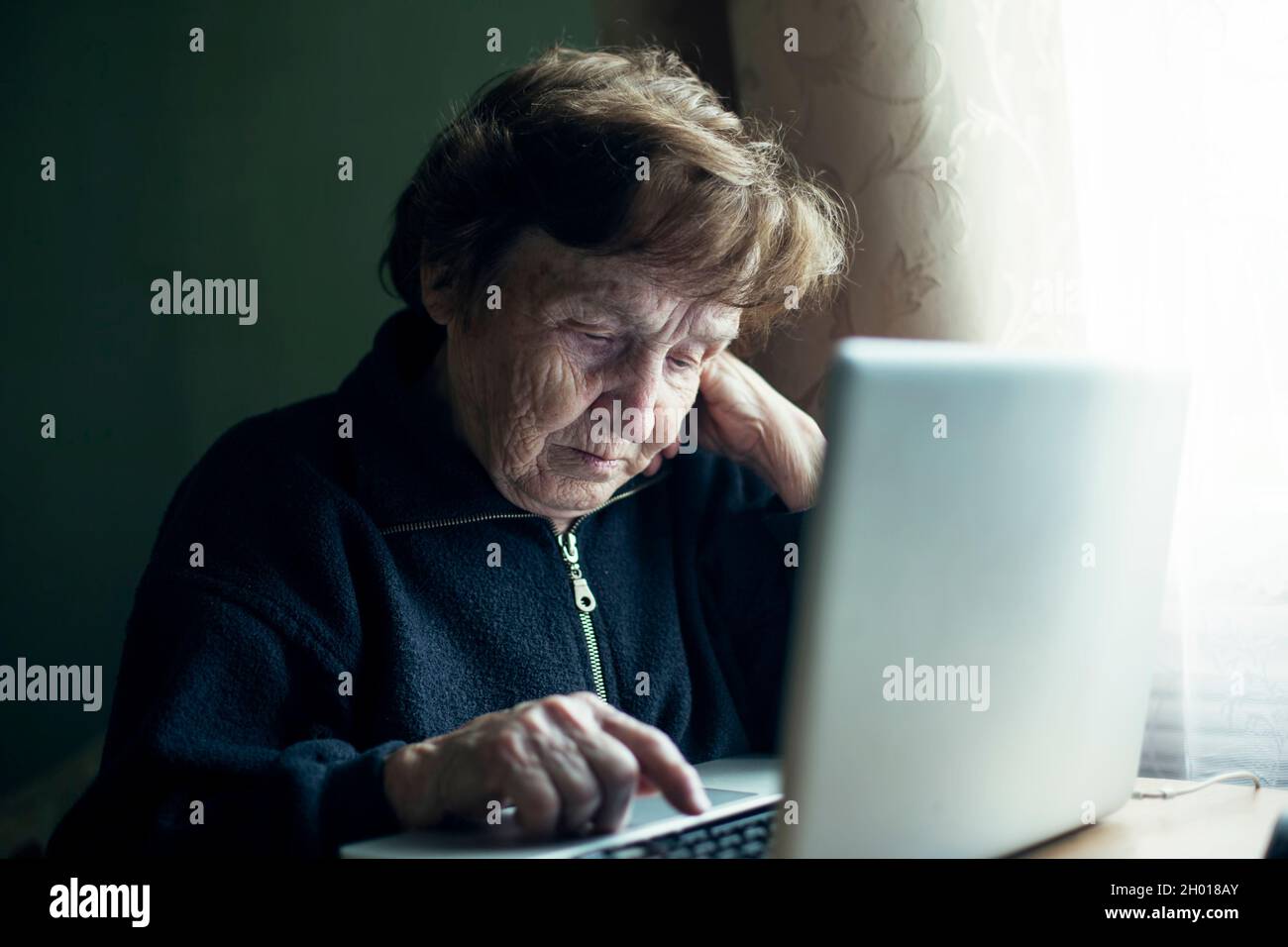 An old woman studying working on the computer in her home. Stock Photo