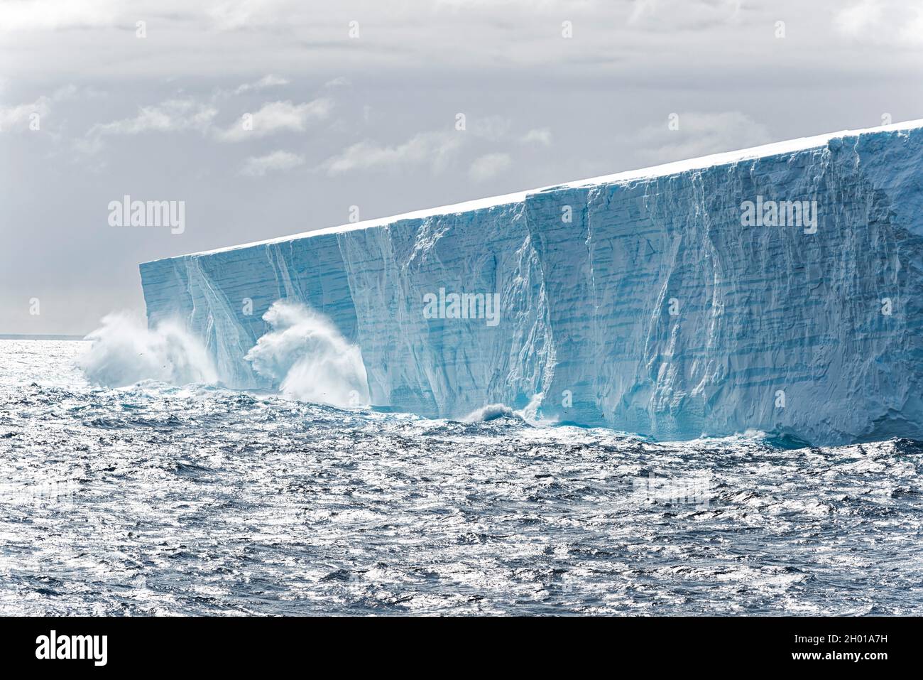 Large tabular iceberg calving to the sea. Southern Ocean, Antarctic, Antarctica Stock Photo