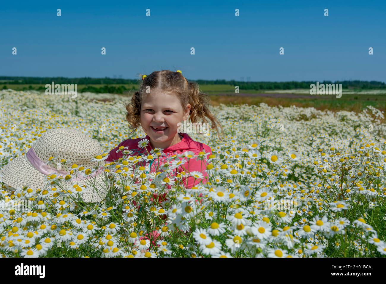 A girl walking in a huge field with blooming field daisies Stock Photo ...