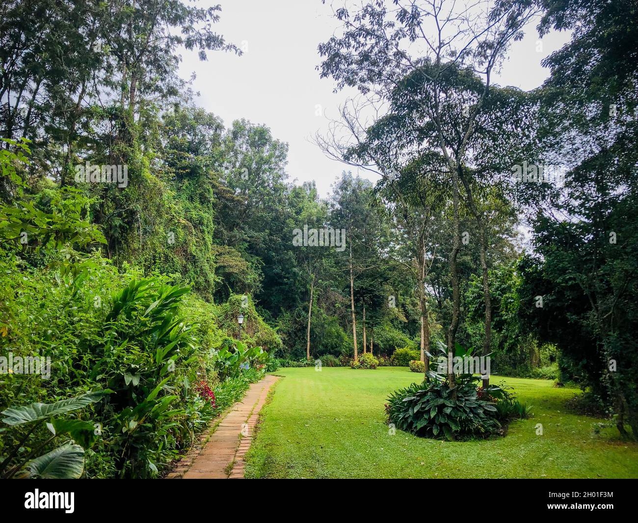 Dari Restaurant Ngong Road Nairobi By Antony Trivet Photography Stock