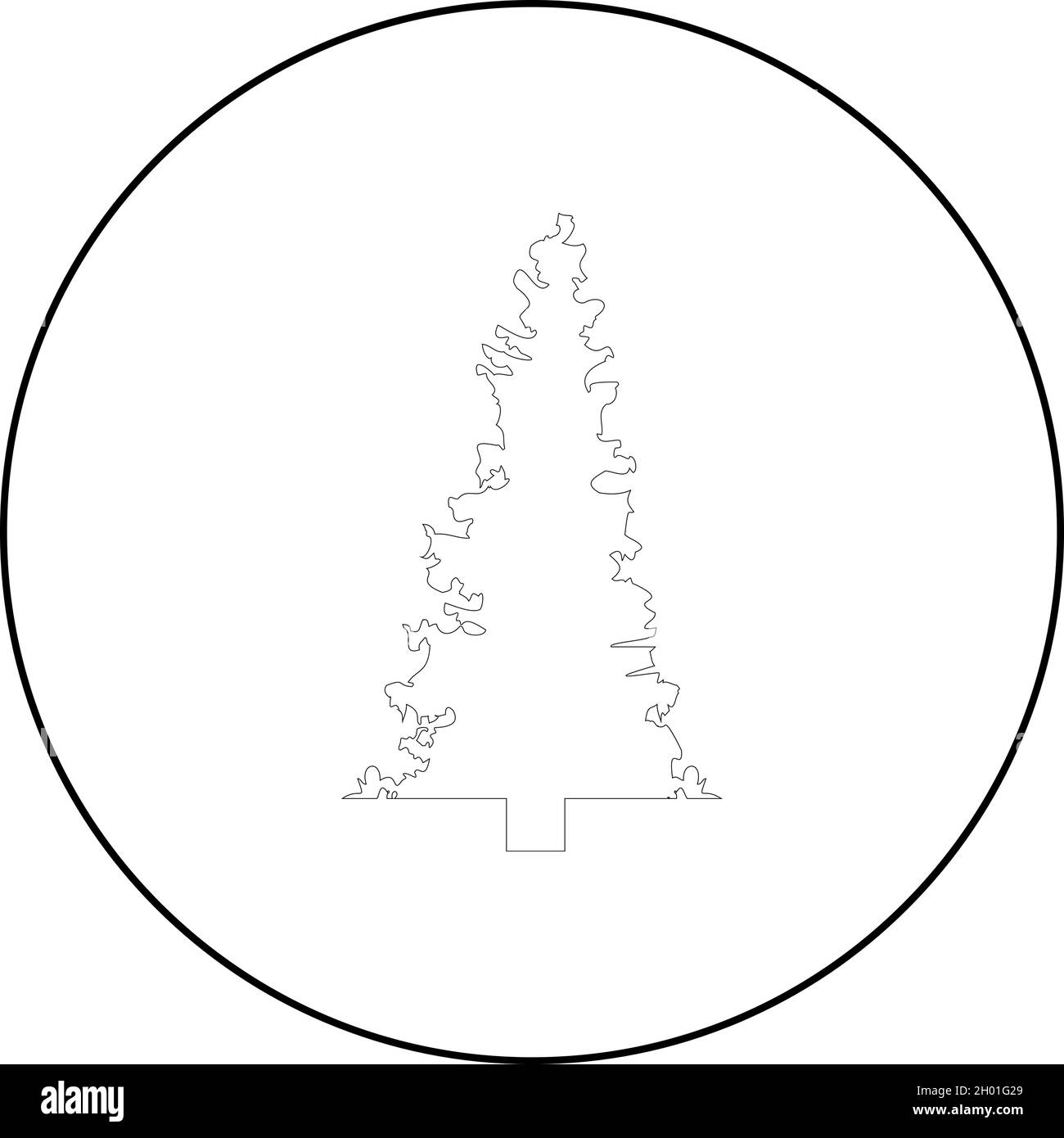 Fir spruce icon in circle round black color vector illustration solid ...