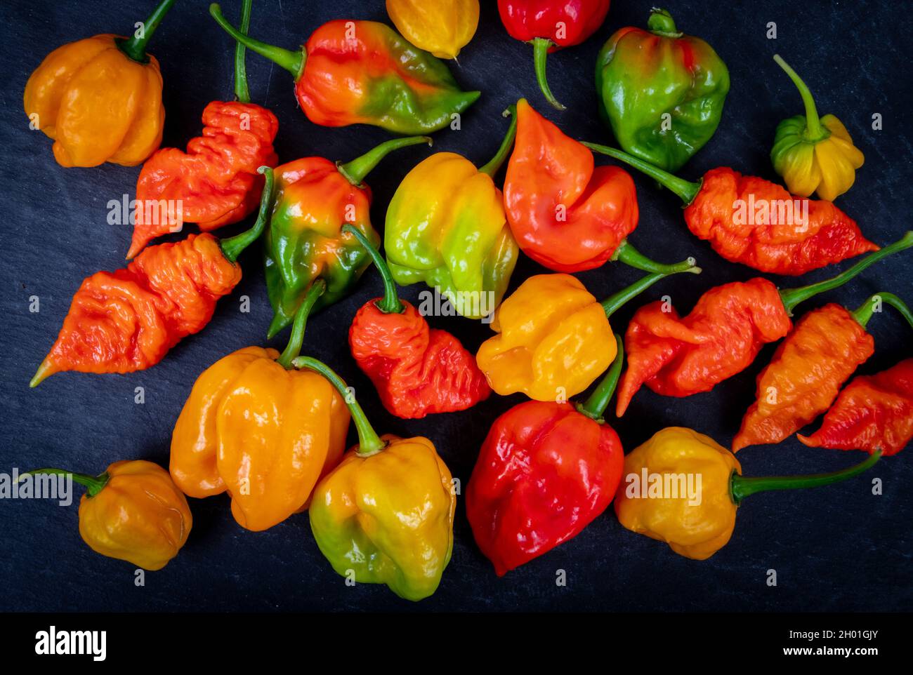 fresh assorted hot peppers chiles on black background. Death spiral habanero scotch bonnet trinidad Stock Photo