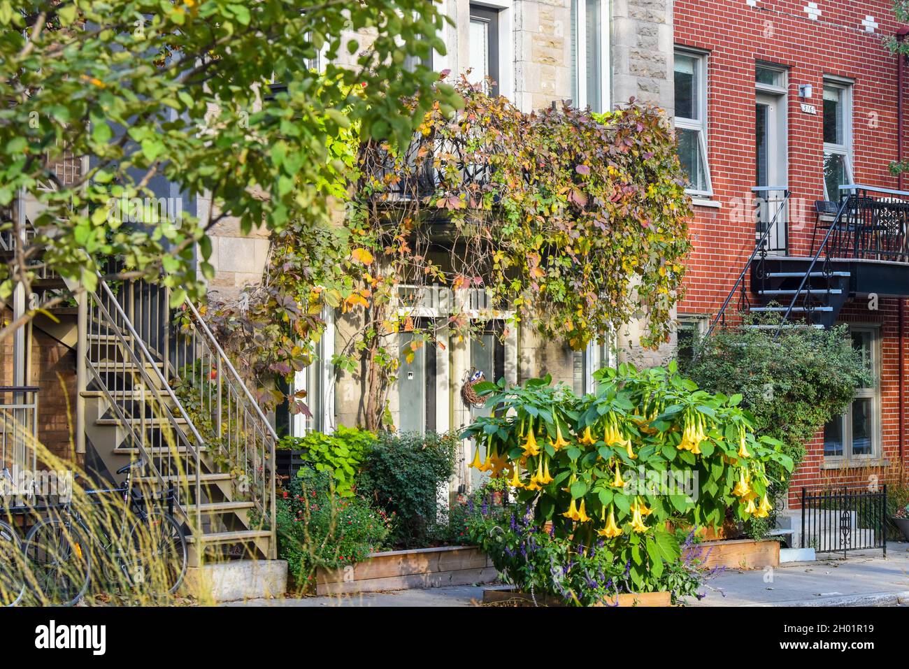 Small residential building with flowers in front,Plateau Mont Royal, Montreal Canada Stock Photo