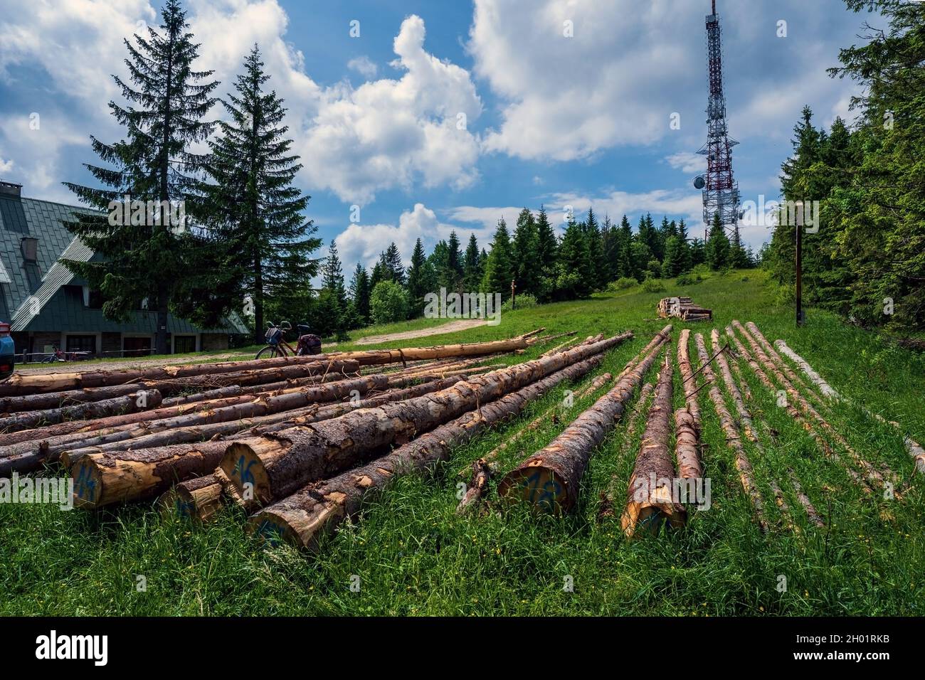 Schronisko translated as tourist shelter next to chopped woods in polish mountain against telephone mobile tower, located in Beskid Sądecki , in the R Stock Photo