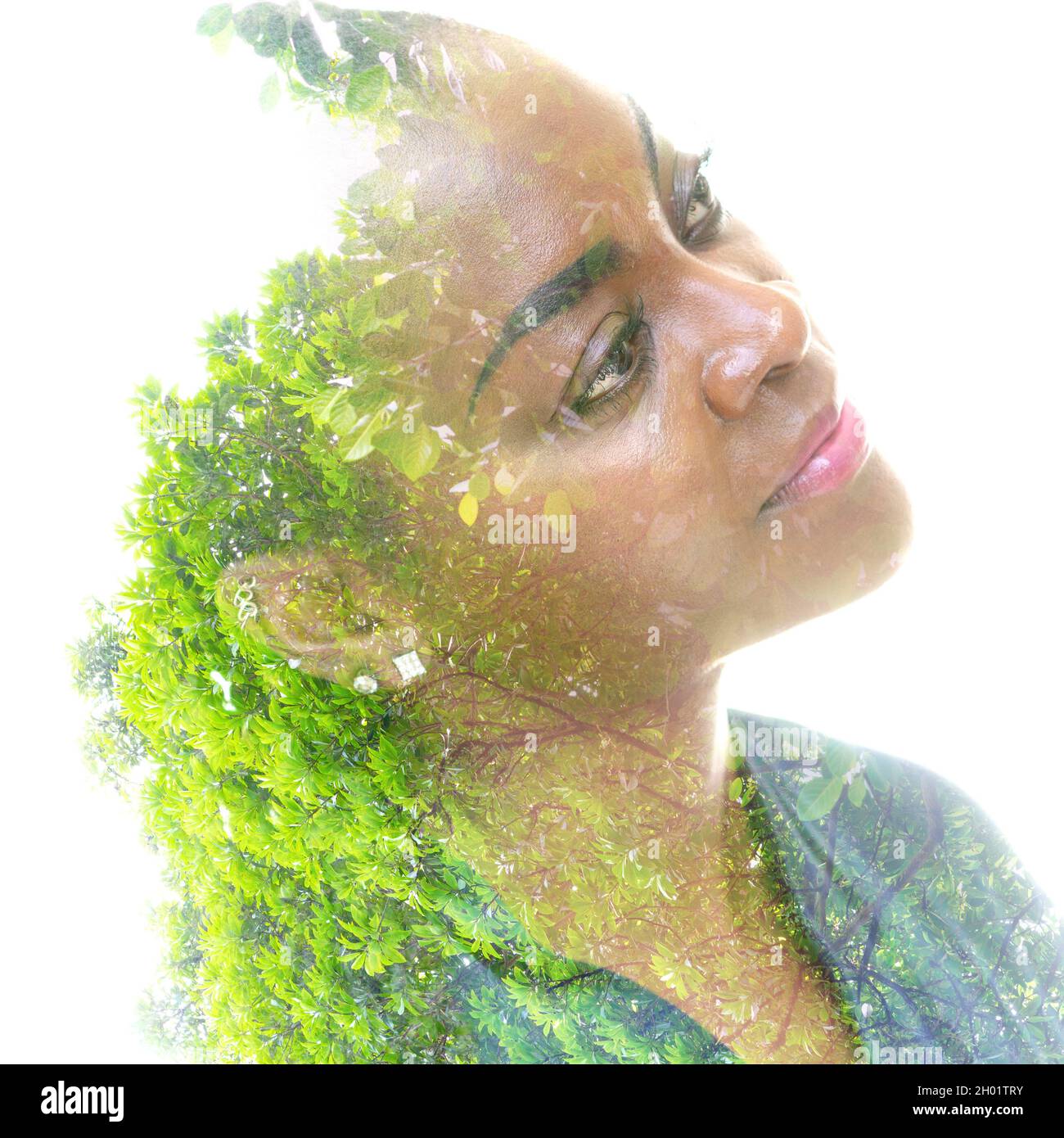 A portrait of a woman combined with green tree in a double exposure ...