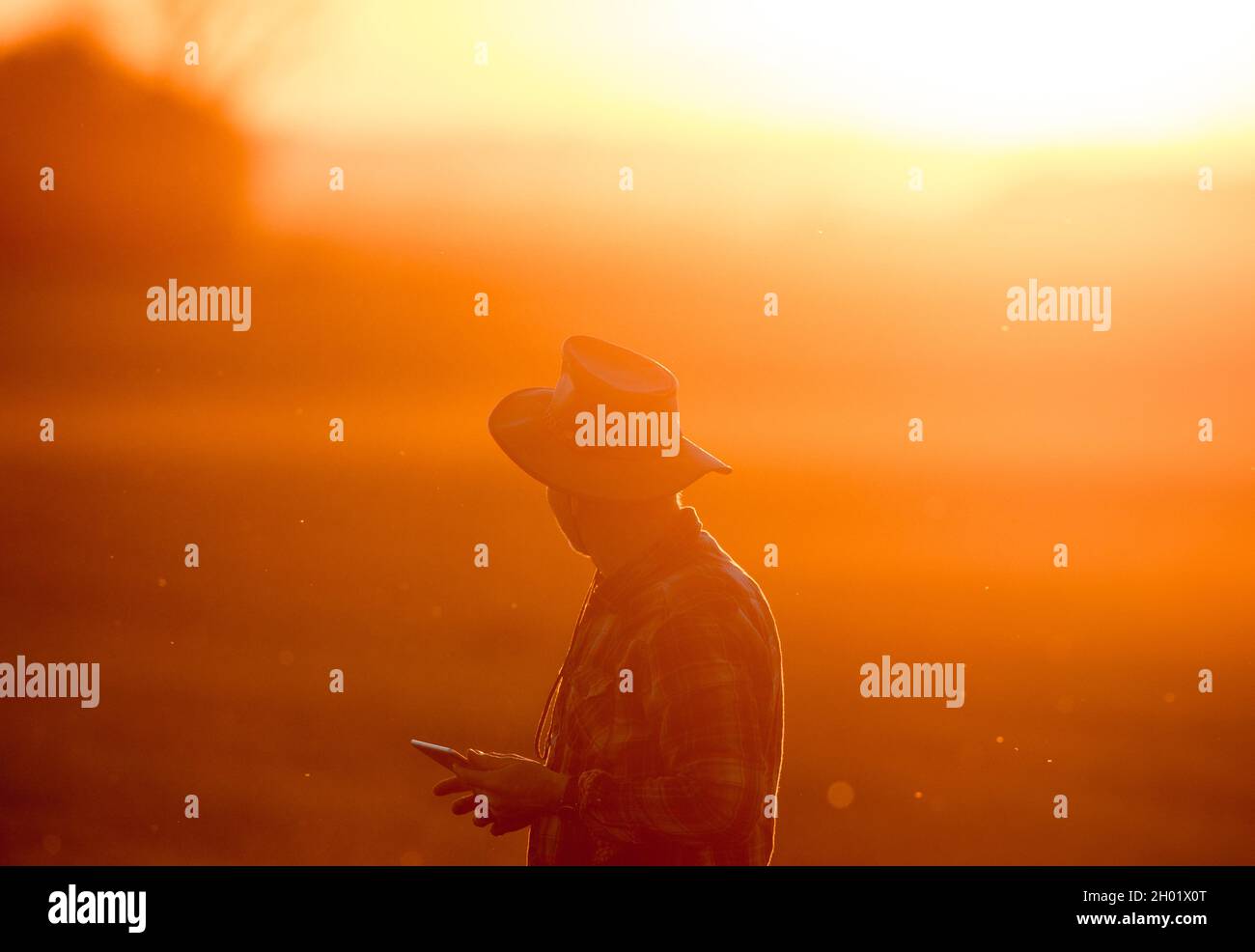 Staning Senior farmer with tablet staning in field at sunset in early spring ...