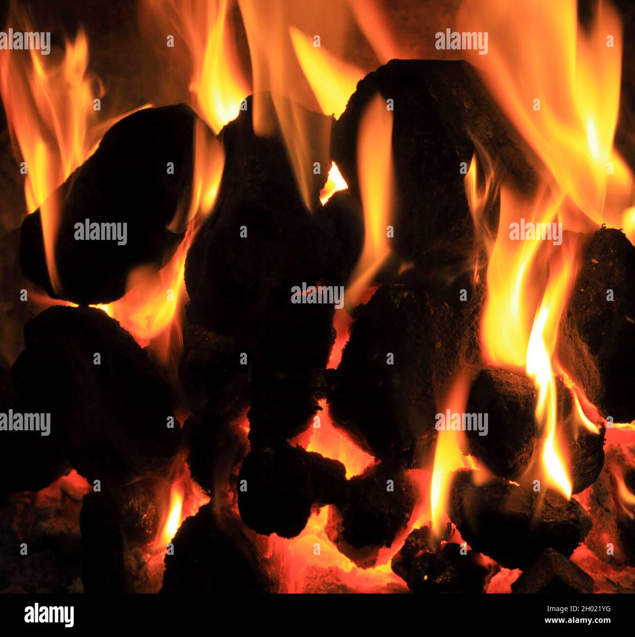 Coal Fire, domestic, in hearth, fire, heat, atmospheric pollution, burning, flame, flames Stock Photo