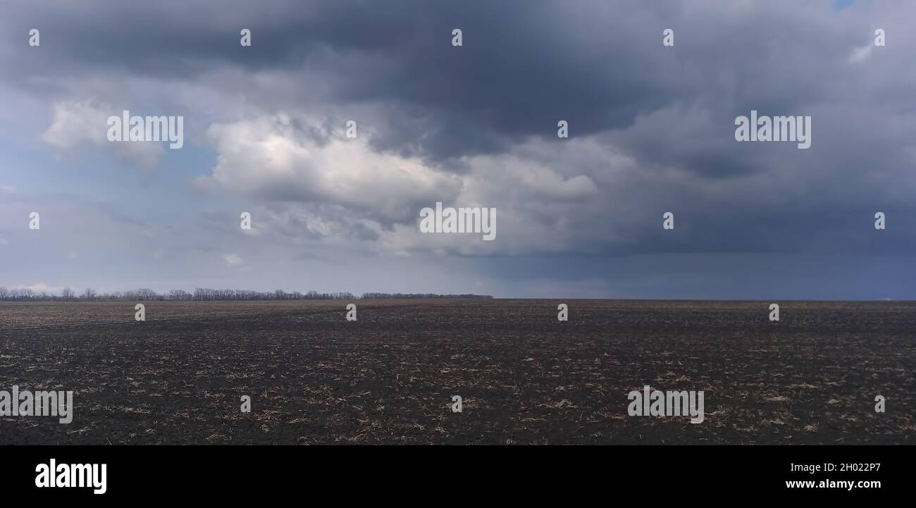 stormy landscape: a field with the remains of dry grass and storm ...