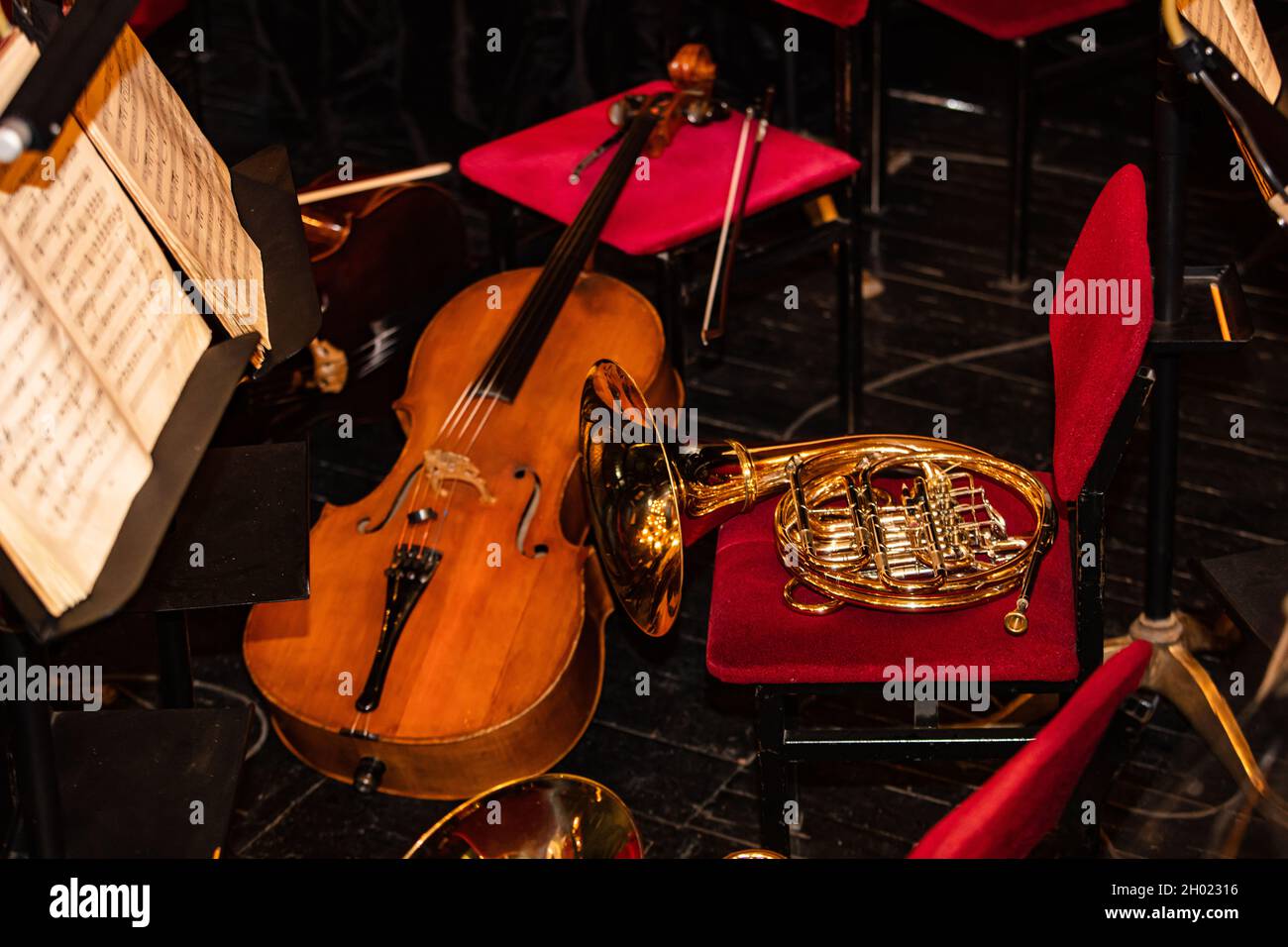 Cello and French Horn on chair during interval in theatre Stock Photo Alamy