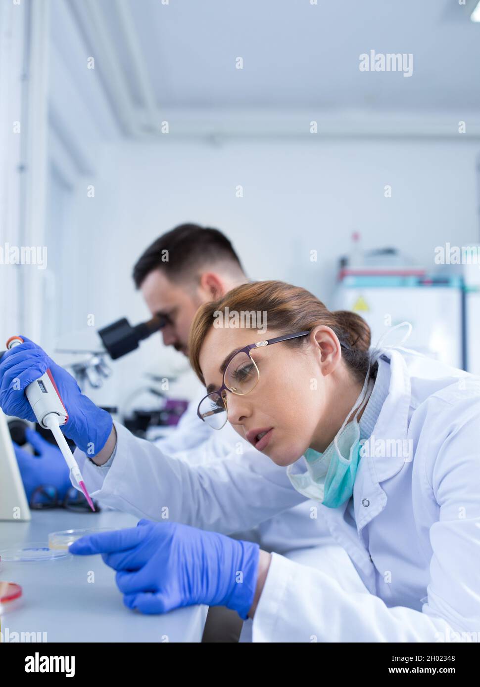 Bio Lab Team Team of experienced biologists working on samples in laboratory Stock ...