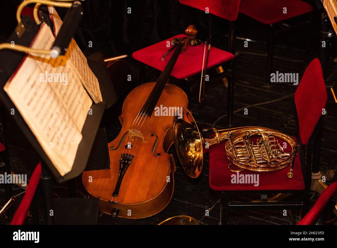 Cello and French Horn on chair during interval in theatre Stock Photo -  Alamy