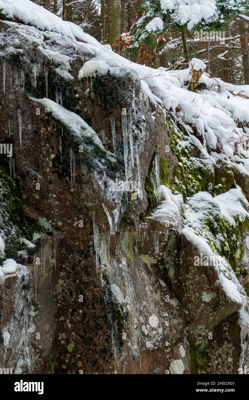 Eiszapfen hängen an einem Felsen im Schwarzwald bei Baden-Baden Stock Photo