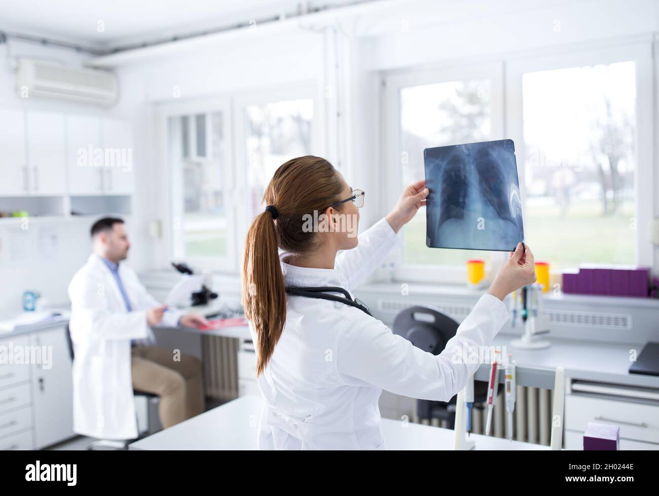 Female doctor looking at x ray at laboratory Stock Photo