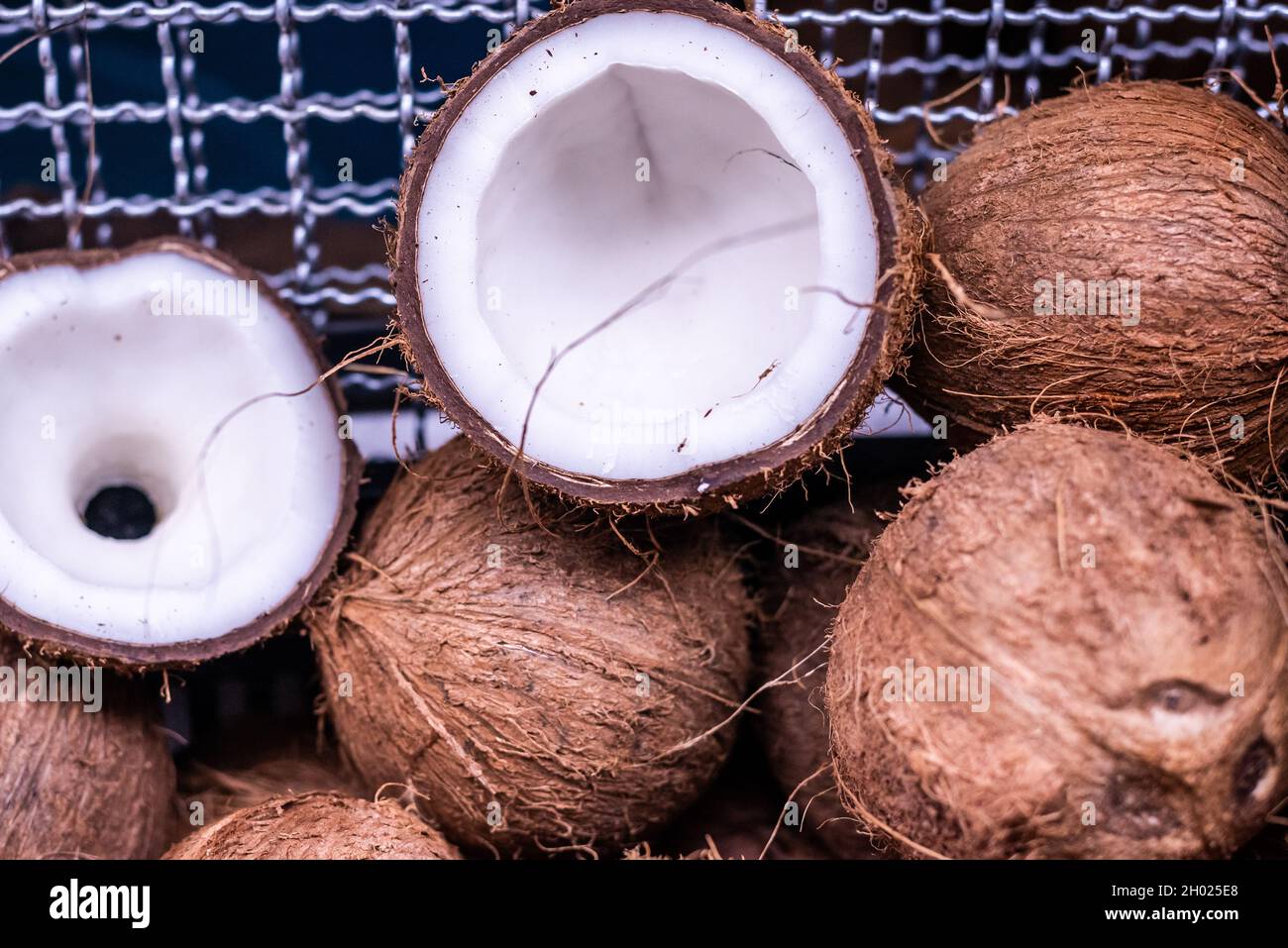 Coconuts for sale at the famous and grandiose São Joaquim fair in Salvador, Bahia, Brazil. Stock Photo
