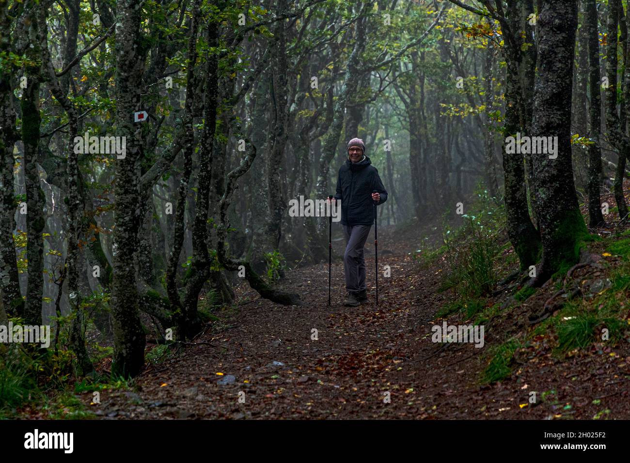 Hiking trail in the Vosges near Geishouse, France Stock Photo