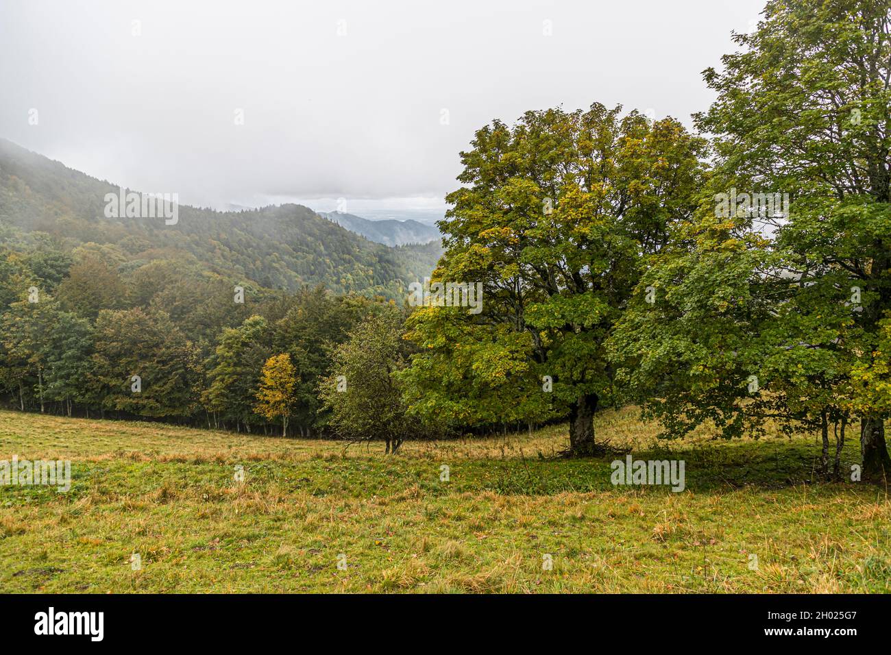 Vosges landscape near Geishouse, France Stock Photo