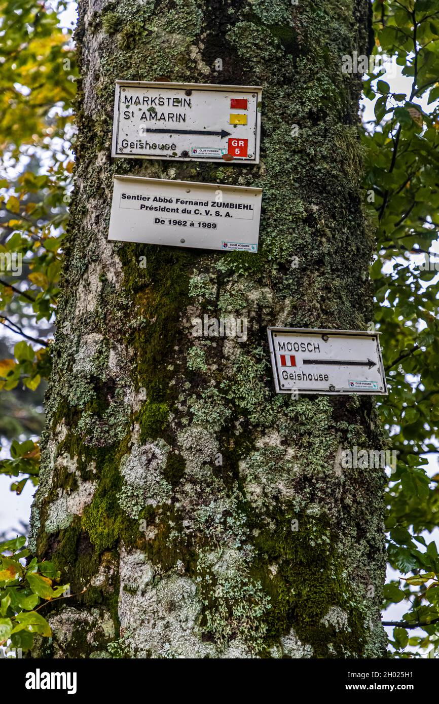 Hiking sign in the Vosges near Geishouse, France Stock Photo