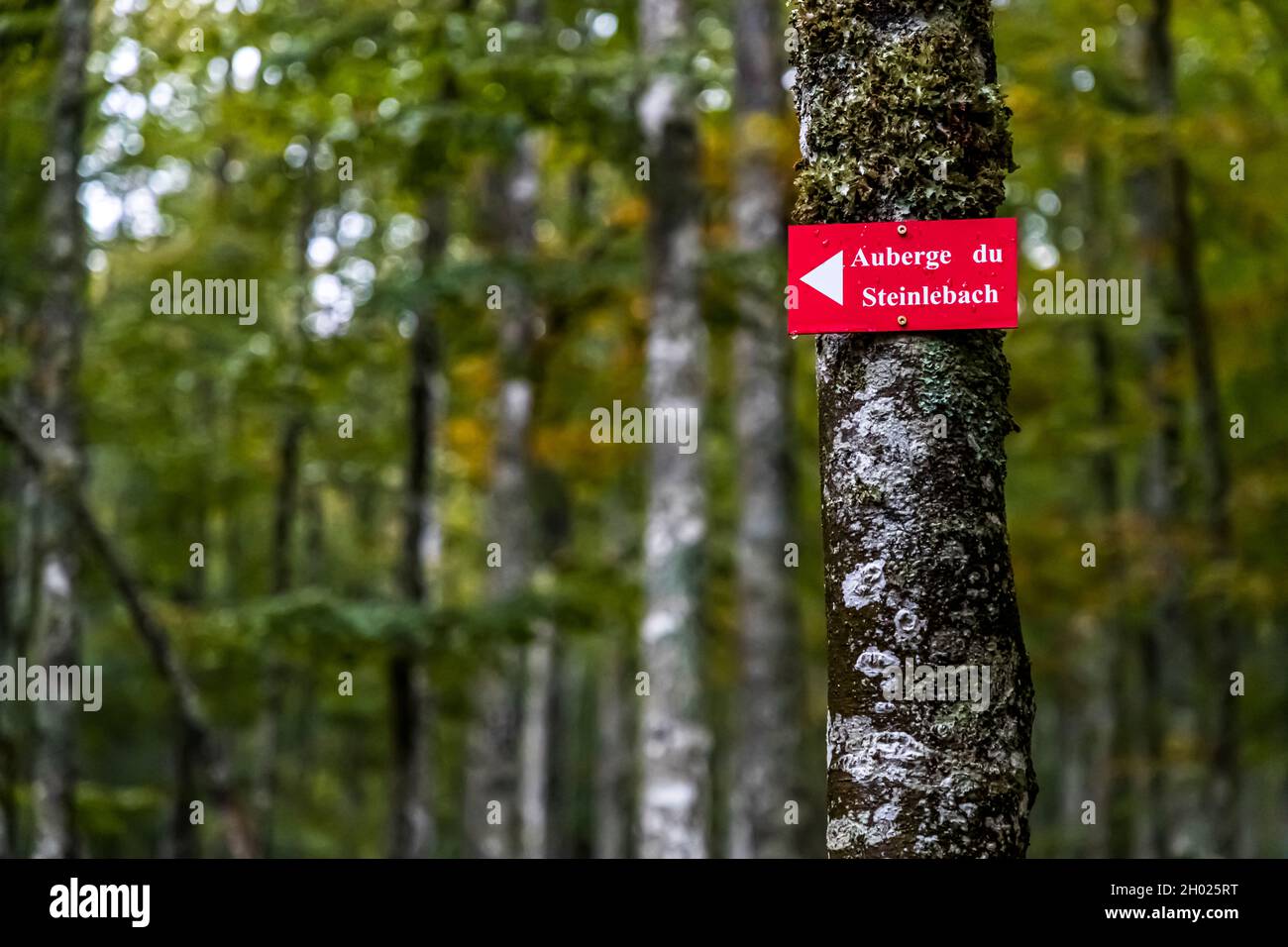 Hiking sign in the Vosges near Linthal, France Stock Photo