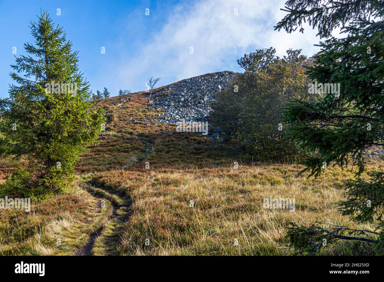 Hiking trail in the Vosges near Sondernach, France Stock Photo