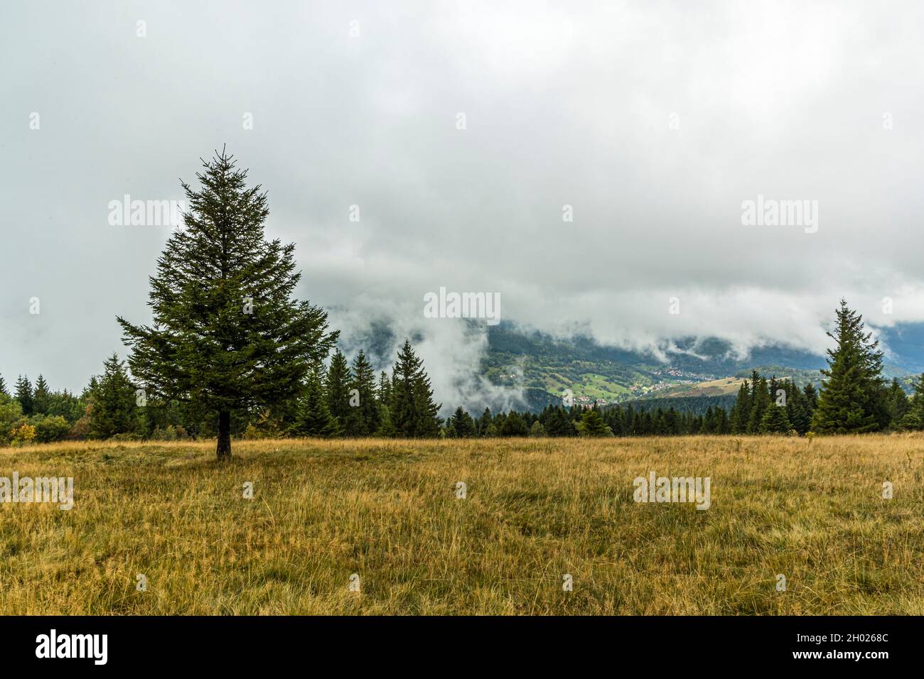 Vosges in the clouds, France Stock Photo