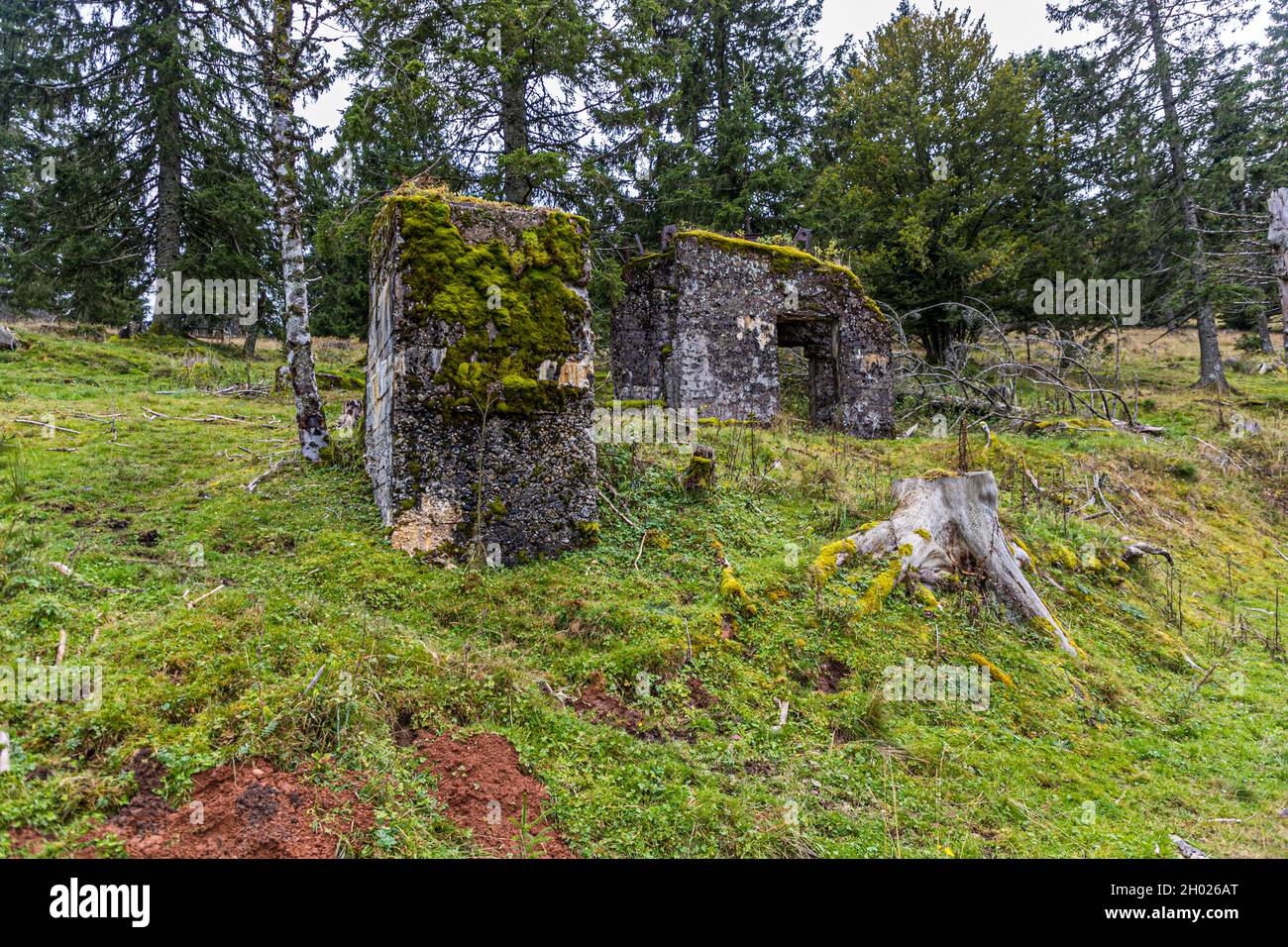 Ruins in the Vosges near Sondernach, France Stock Photo